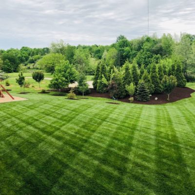 Commercial Lawn Maintenance