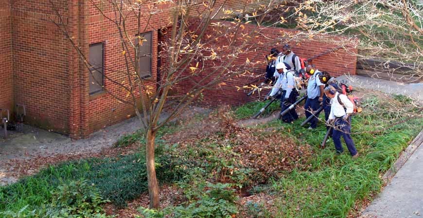 Spring & Fall Cleanup