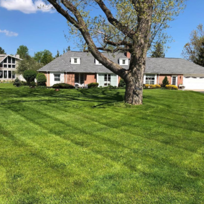 Residential Lawn Mowing
