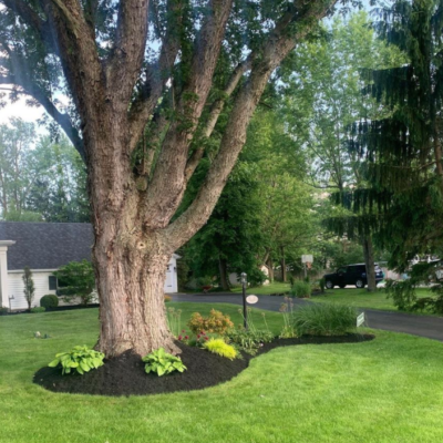Residential Landscaping