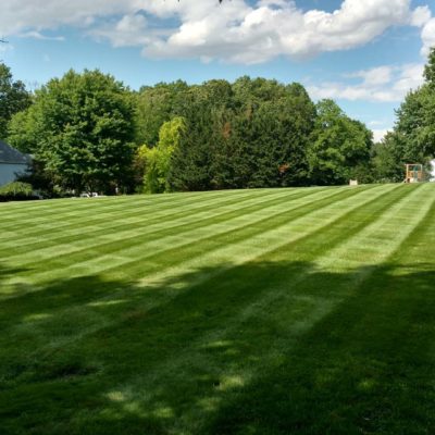 Residential Lawn Services