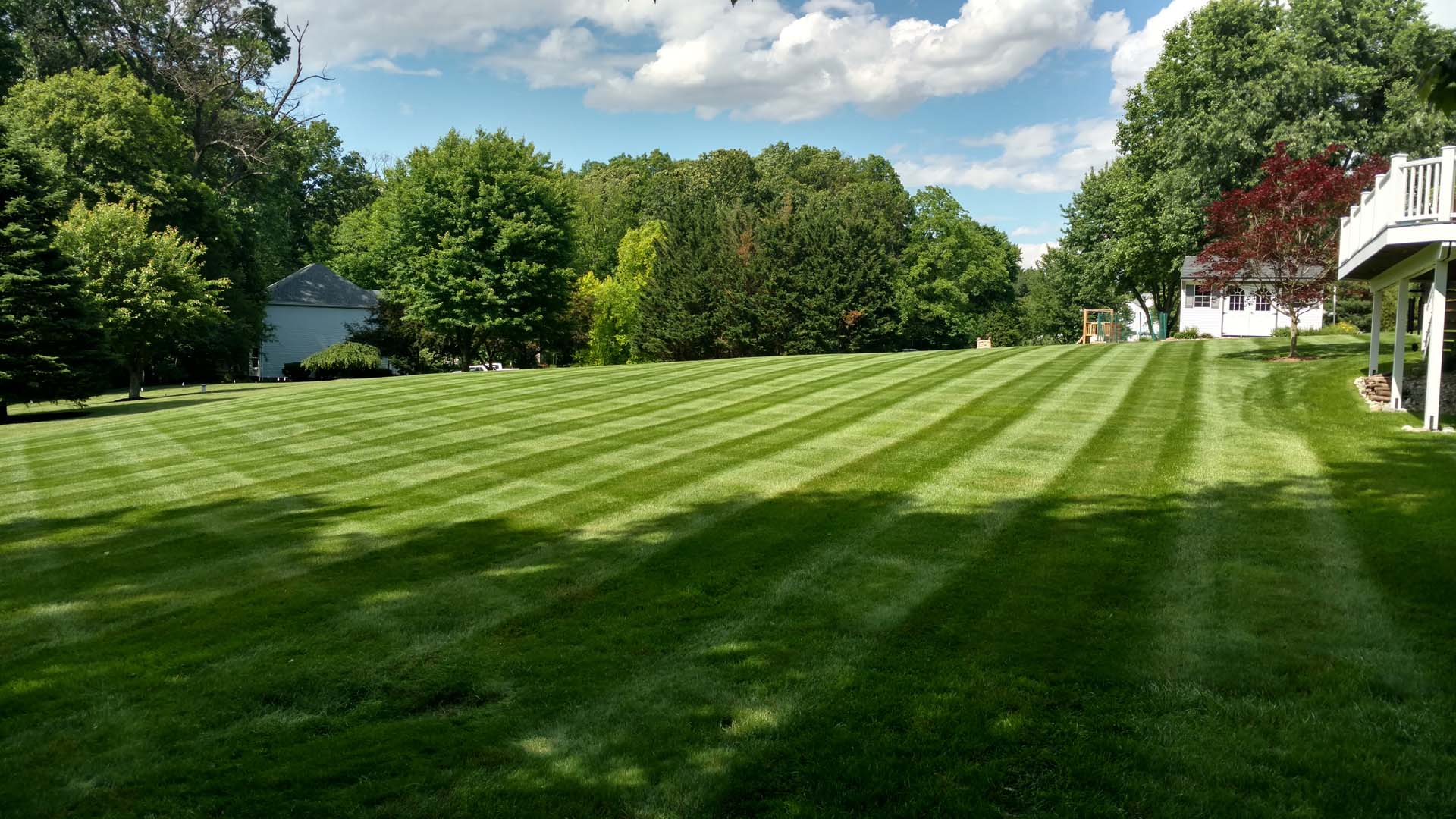 Residential Lawn Services - Terra Property Services