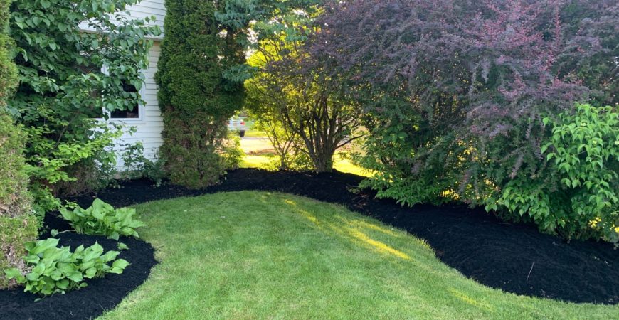 Mulching and Edging