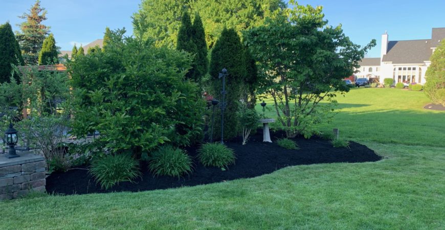 Mulching and Edging